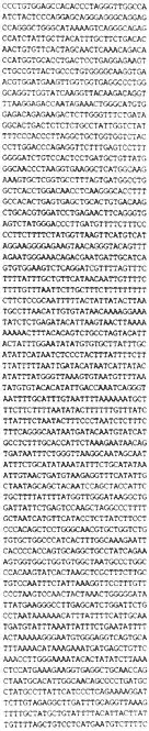 Figure 2-4. The DNA sequence of the human gene for beta-globin (a protein of 146 amino acids that forms part of the hemoglobin molecule that carries oxygen in the blood).