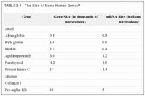 TABLE 2-1. The Size of Some Human Genes.