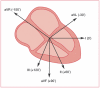 Figure 2. The limb leads looking at the heart in a vertical plane.