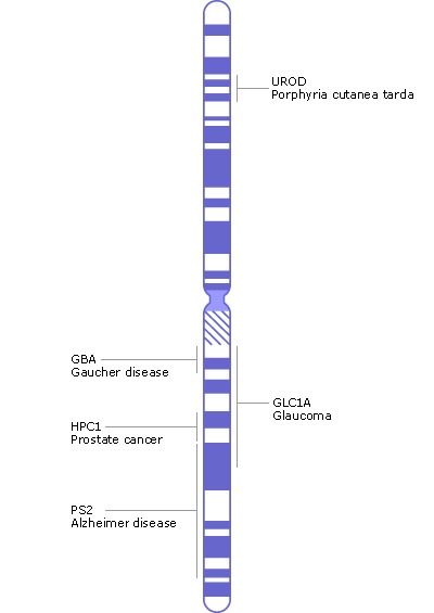 achondroplasia chromosome 4