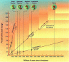 Species that diverged longer ago have more differences in their corresponding proteins, reflecting changes in the amino acids over time