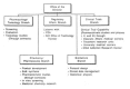 FIGURE B.1. Organizational structure of MDD.