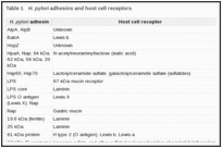 Table 1. H. pylori adhesins and host cell receptors.