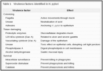 Table 1. Virulence factors identified in H. pylori.