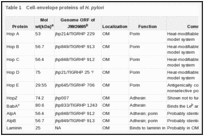 Table 1. Cell-envelope proteins of H. pylori.
