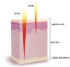 Figure 7 shows the skin penetration of different types of ultraviolet (UV) radiation on a cross-section of the three layers of human skin. The bottom layer is the subcutaneous, the middle layer is the dermis, and the top layer is the epidermis. UVA radiation penetrates through all three layers of skin, whereas UVB radiation only penetrates through the top two layers.