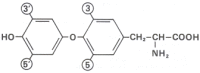 Figure 142.6. Thyroxine.