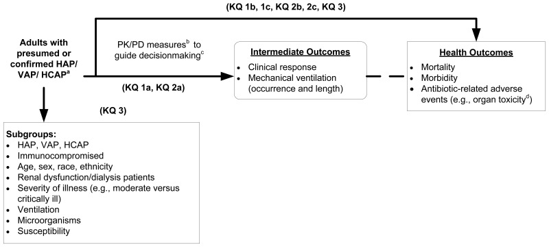 Figure 2 Analytic Framework For Use Of Pharmacokinetic Pharmacodynamic Pk Pd Measures To Guide Antibiotic Treatment For Hospital Acquired Pneumonia Pharmacokinetic Pharmacodynamic Measures For Guiding Antibiotic Treatment For Hospital Acquired