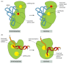 Figure 6-59. Hydrolytic editing.