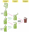 Figure 6-82. A current view of protein folding.