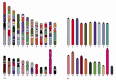 Figure 4-18. Conserved synteny between the human and mouse genomes.