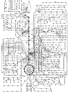 Figure 2-35. Some of the metabolic pathways and their interconnections in a typical cell.