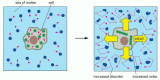 Figure 2-38. A simple thermodynamic analysis of a living cell.