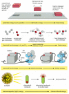 Figure 2-39. Some interconversions between different forms of energy.