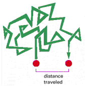 Figure 2-48. A random walk.