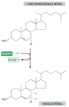 Figure 2-61. The final stage in one of the biosynthetic routes leading to cholesterol.