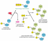 Figure 2-67. Synthesis of a polynucleotide, RNA or DNA, is a multistep process driven by ATP hydrolysis.