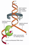 Figure 5-24. The 