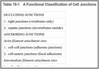 Table 19-1. A Functional Classification of Cell Junctions.