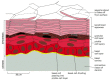 Figure 22-2. The multilayered structure of the epidermis, as seen in a mouse.