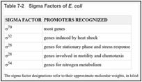 Table 7-2. Sigma Factors of E. coli.