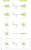 Figure 5-52. The deamination of DNA nucleotides.