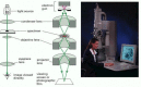 Figure 9-22. The principal features of a light microscope and a transmission electron microscope.