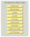 Figure 2-86. The nine essential amino acids.