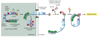 Figure 6-40. Schematic illustration of an 