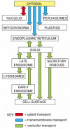 Figure 12-6. A simplified 