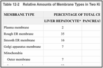 Table 12-2. Relative Amounts of Membrane Types in Two Kinds of Eucaryotic Cells.