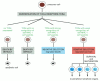 Figure 24-61. Positive and negative selection in the thymus.