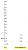 Figure 8-13. The detergent sodium dodecyl sulfate (SDS) and the reducing agent β-mercaptoethanol.