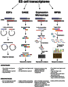 Figure 1. Gene expression profiling techniques used in studies of pluripotent cells.