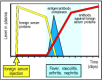 Figure 12.20. La maladie sérique est un exemple classique de syndrome transitoire médié par un complexe immunitaire.