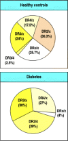 Figure 13.4. Population studies show association of susceptibility to IDDM with HLA genotype.