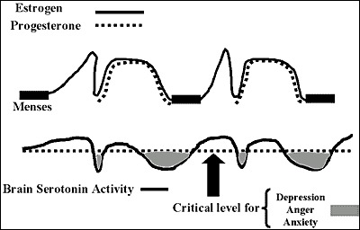 The Rollercoaster: PMS Hormonal Fluctuations and Serotonin.