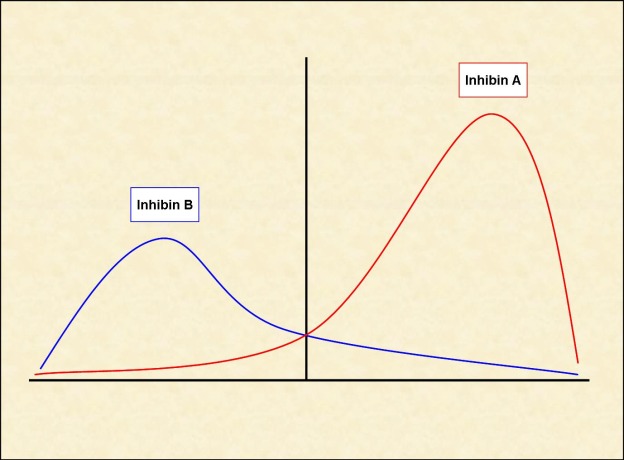 Figure 2. . Inhibin level changes throughout the menstrual cycle.