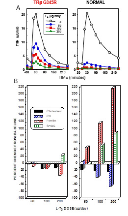 Figure 6. . Responses to the administration of L-T3 in a subject with RTHß harboring TRß G345R mutant and an unaffected individual.