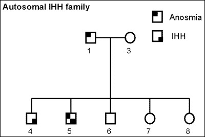 Fig. 4. A. family with GnRH deficiency and multiple affected members in two generations.