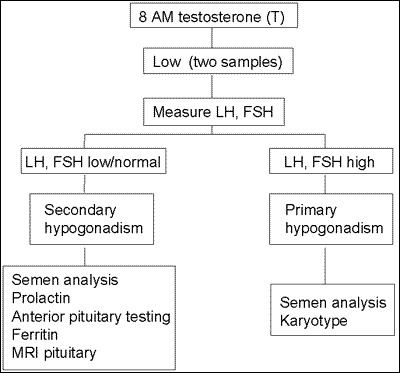 Figure 5. Algorithm for evaluation of hypogonadism in a male.