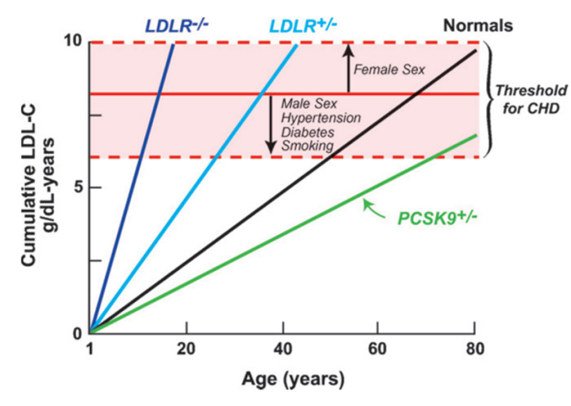 Figure 2. . Relationship between cumulative LDL-C exposure and age of developing cardiovascular disease.