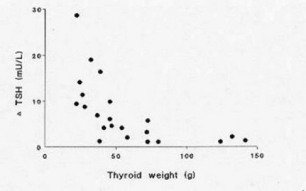 normal thyroid size