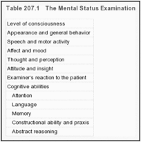 表207.1。精神状态检查。