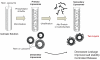 FIGURE 2-10. Next steps for nanoliposomes include forming double-layered liposomes (“secondary liposomes”) that are more stable and leak-resistant than single-layer liposomes (“primary liposomes”) and that have greater controlled release capabilities.