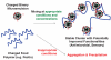 FIGURE 2-9. The next step for microemulsion nanotechnology is the creation of composite microemulsion-polymer clusters with novel functionalities, such as antimicrobial potency or palatability.