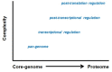 Figure 1: . The complexity of the Streptococcal proteome is significantly greater than the corresponding core genome due to the acquisition of horizontally transmitted DNA contributing to the pan genome, the regulation of gene expression and post-translational modification of proteins.