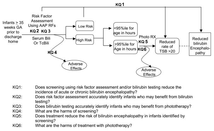 Figure 1 Hyperbilirubinemia Screening Analytic Framework