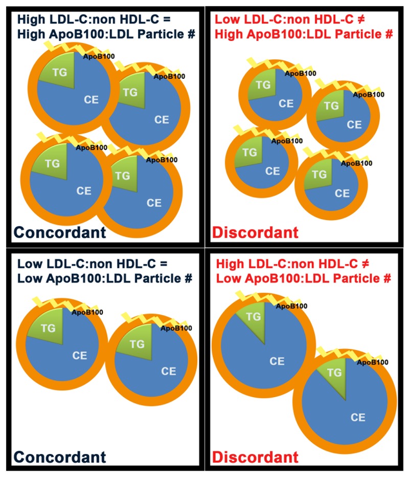 The Role Of Lipids And Lipoproteins In Atherosclerosis Endotext Ncbi Bookshelf