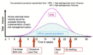 FIGURE 5-2. Pre-pandemic influenza vaccine availability by risk management option.